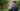 Augie Martinez Lehigh University achievements