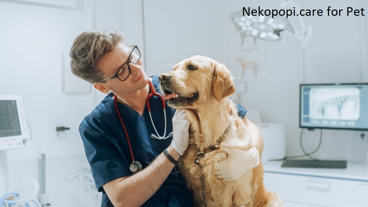 8 Benefits of Using Nekopopi.care for Pet Owners