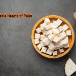 Nutritional Value of Sustainable Hearts of Palm