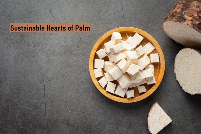 Nutritional Value of Sustainable Hearts of Palm