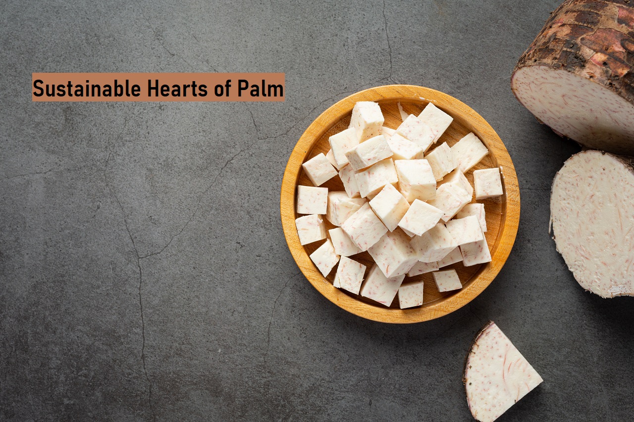 Nutritional Value of Sustainable Hearts of Palm