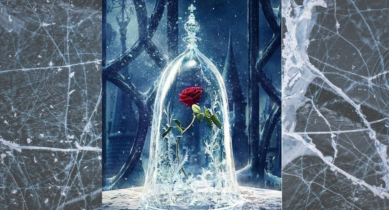 Custom Beauty and the Beast Inspired Encased Rose