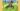 Animal Rampage 3d Rating Game-play and Reviews