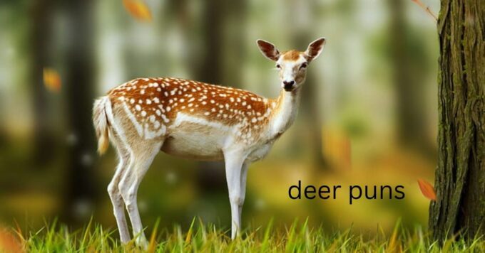 Deer Puns That Are Un-fawn-gettable and Full of Laughs
