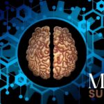 The Rise of Mason Summey33: What We Can Learn from His Digital Journey