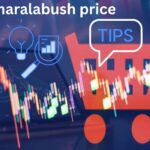 How to Evaluate Charalabush Prices: Tips and Insights
