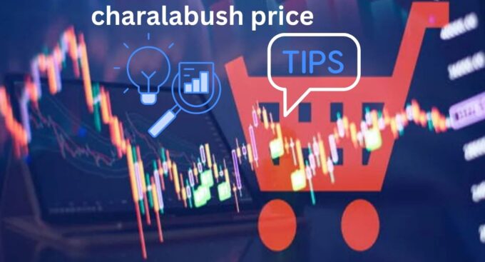How to Evaluate Charalabush Prices: Tips and Insights