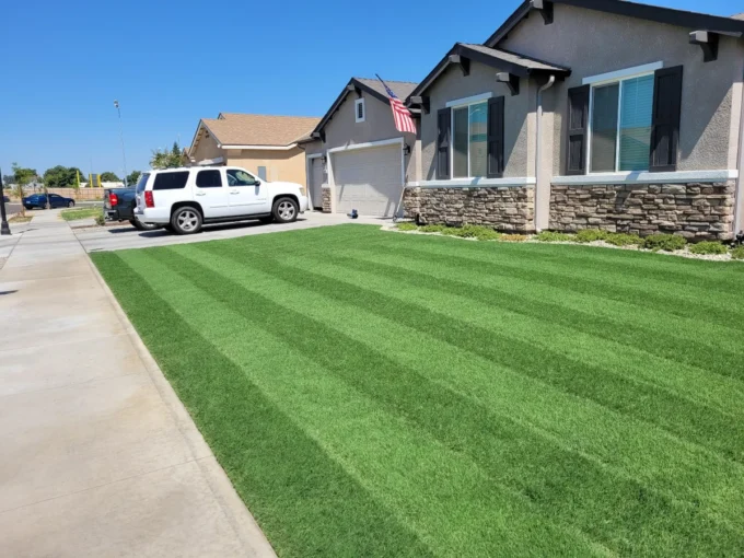 Celebration Bermuda Grass: A Homeowner's Dream Lawn