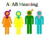 AFAB Meaning: A Clear and Respectful Guide to What AFAB Really Means